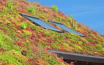 Hemford living roof systems