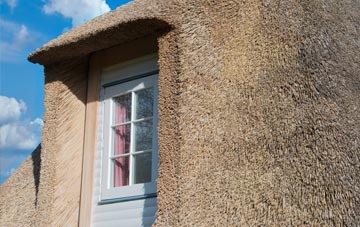 Hemford thatch roof disadvantages
