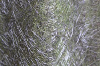 Hemford fibreglass roof work